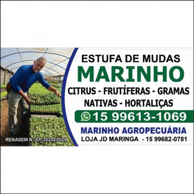 Marinho Mudas e Rações