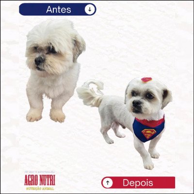 Agro Nutri Pet Shop e Agropecuária