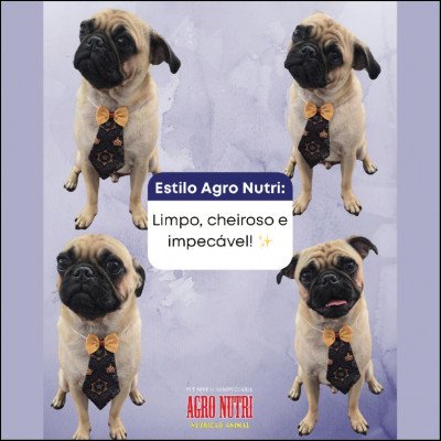 Agro Nutri Pet Shop e Agropecuária