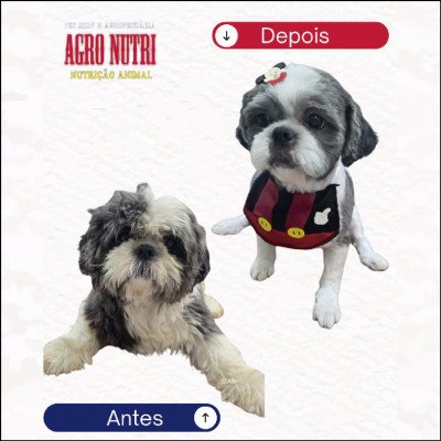 Agro Nutri Pet Shop e Agropecuária