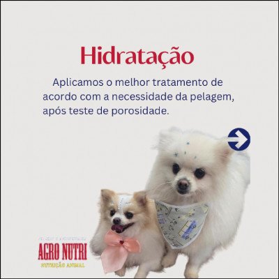 Agro Nutri Pet Shop e Agropecuária