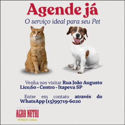 Agro Nutri Pet Shop e Agropecuária