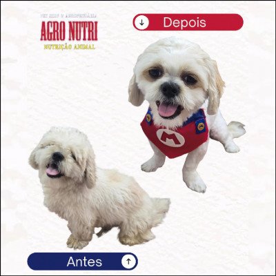 Agro Nutri Pet Shop e Agropecuária