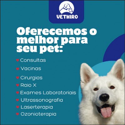 Clínica Veterinária Vethiro