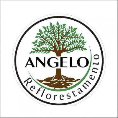 Angelo Reflorestamento