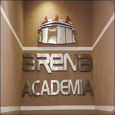 Arena Academia