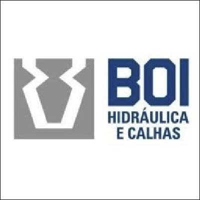 Calhas Boi