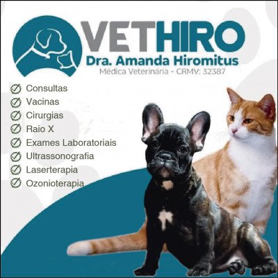 Clínica Veterinária Vethiro