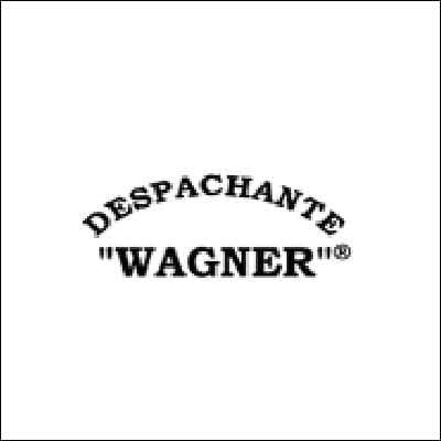 Despachante Wagner