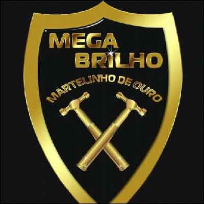 Estética Automotiva - Mega Brilho