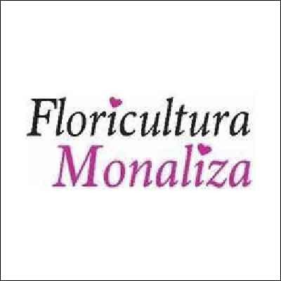 Floricultura Monaliza