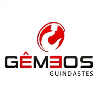 Gemeos Guindastes