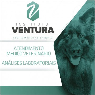 Instituto Ventura