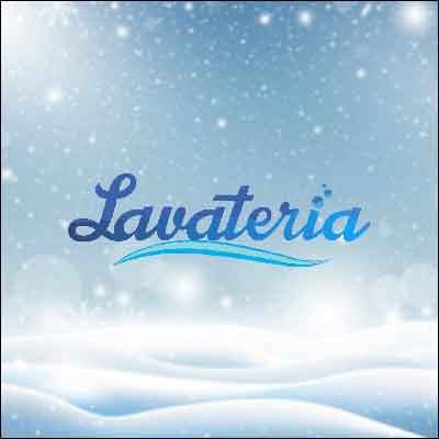 Lavateria