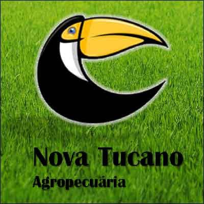 Nova Tucano