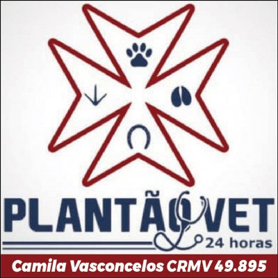 Plantão Vet 24 Horas
