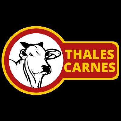 Thales Carnes