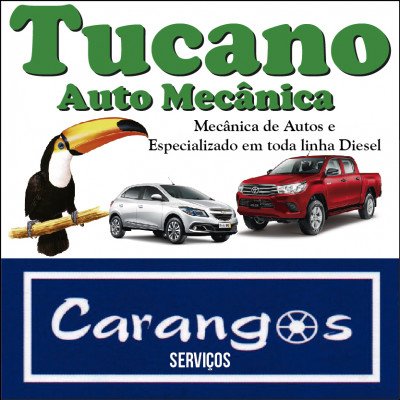 Tucano Auto Mecânica - Carangos Serviços