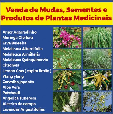 Venda de Mudas, Sementes e Produtos de Plantas Medicinais