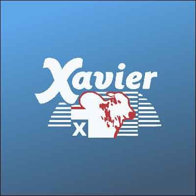 Xavier Carnes e Conveniência