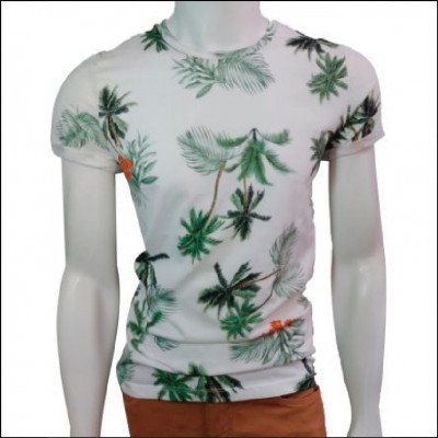 Camiseta Rovitex Masculina