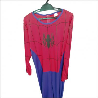 Fantasia Homem Aranha
