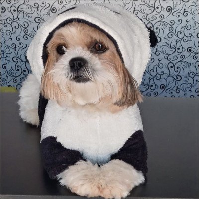 Banho e Hidratação