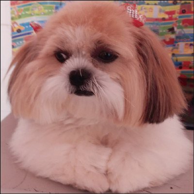 Banho e Hidratação