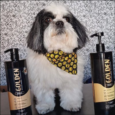 Banho e Hidratação