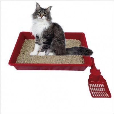 Caixa de Areia Para Gatos