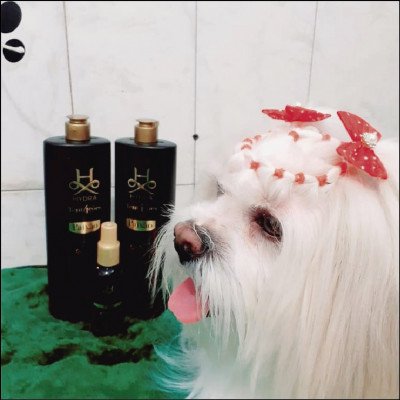 Hidratação e Penteado