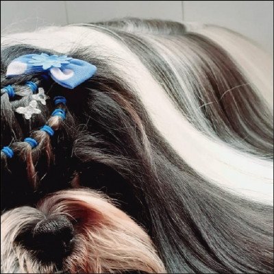 Hidratação e Penteado