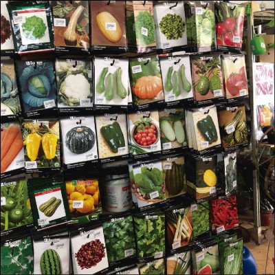 Sementes Feltrin Hortalicas