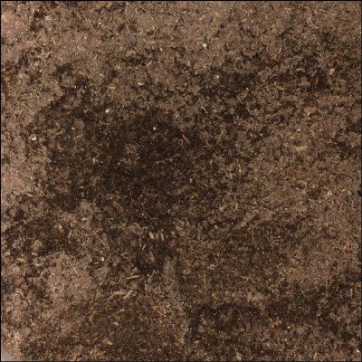 Substrato Para Plantas