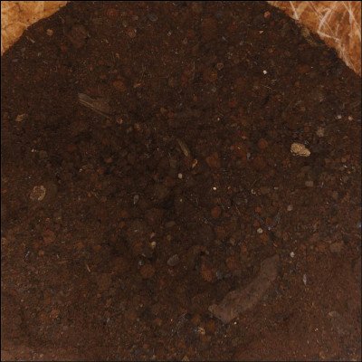 Terra Adubada e Estercada