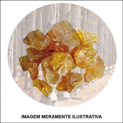 Produção de Breu e Terebentina