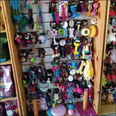 Brinquedos Variados Cães e Gatos
