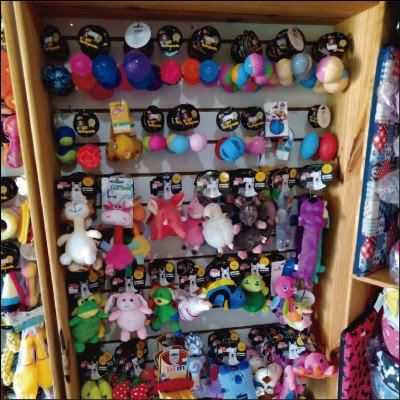 Brinquedos Variados Cães e Gatos - imagem 1