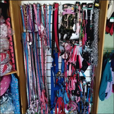 Coleiras e Guia Peitoral