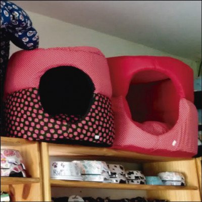 Toca para Cães e Gatos - imagem 1