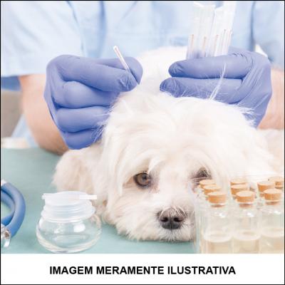 Acupuntura para Pets
