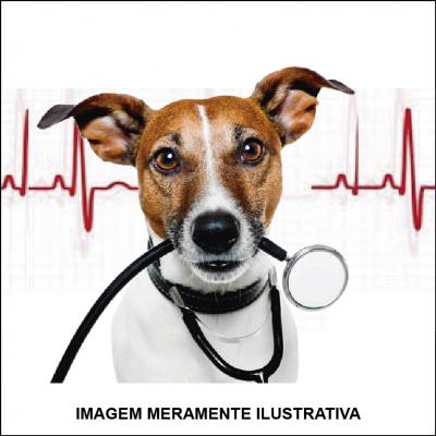 Eletrocardiografia
