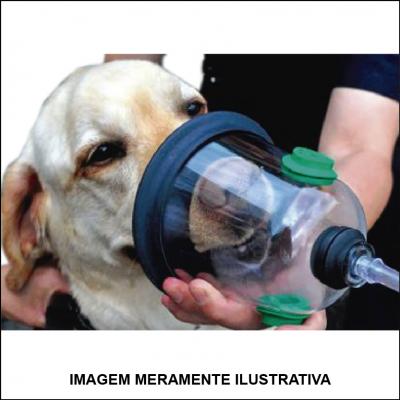 Anestesia Inalatória