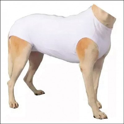 Roupas Cirúrgicas Pet - imagem 2