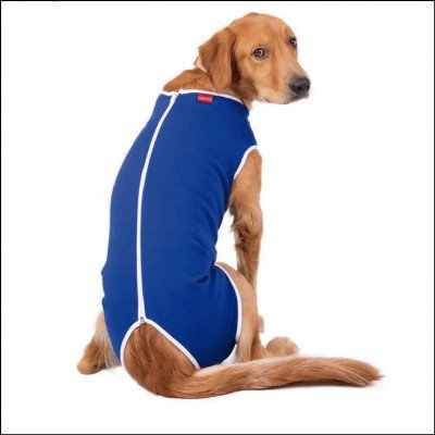 Roupas Cirúrgicas Pet - imagem 1