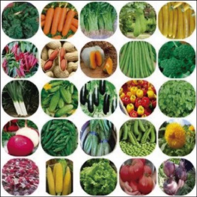 Sementes de Hortaliças