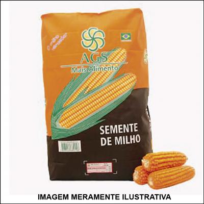 Sementes de Milho