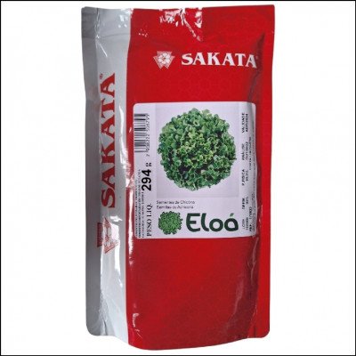 Semente De Chicória Lisa Eloá Sakata 294g