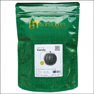 Semente De Abóbora Japonesa Kanda Horticeres 220g