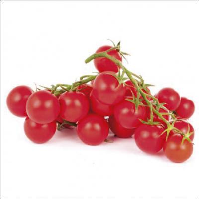 Tomate Cereja